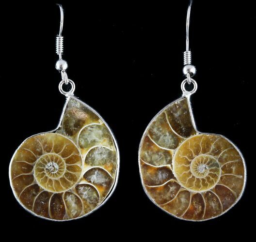 Fossil Ammonite Earrings - Million Years Old #48830